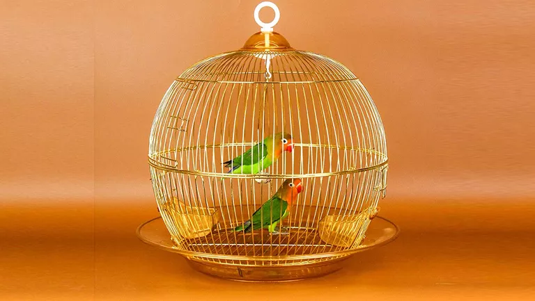 round cage