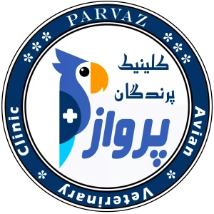 معرفی کلینیک 1 خدمات کلینیک دامپزشکی پرندگان پرواز